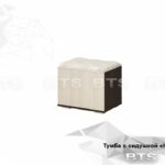 Некст тумба ТБ-20