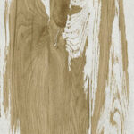 Grunge nutt dark